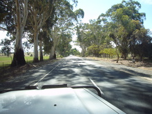 Das Landschaftsbild wechselt hin und her.