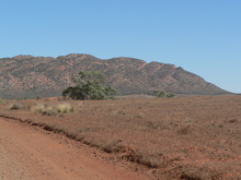 Trotz Trockenheit ist das Land unglaublich abwechslungsreich.