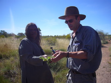 Der Busch kann ein richtiger Garten sein.