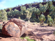 Hier gibt es Erdgeschichte.
