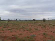 Auf dem Weg zum Uluru (Ayers Rock)