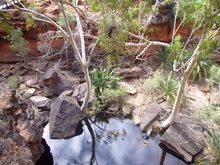 Paradies mitten im Fels: Garten Eden.