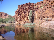 Herrlicher Pool im Trephine Creek.