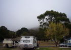 Halls Gap in aller Frühe. Die Feuchtigkeit in der Luft ...