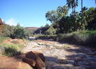 ... gibt es nur hier am Palm Creek.